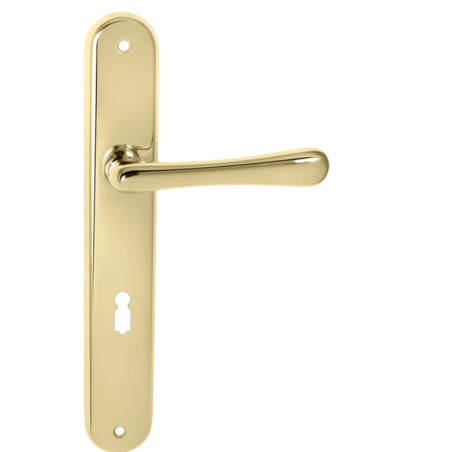 Kljuka MPK Elegant s ščitom